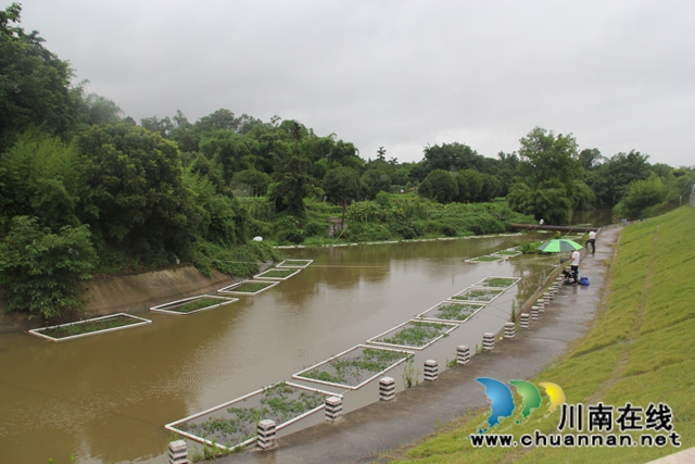 曹阳率队到泸县云龙镇督导雨污分流管网建设工作(图2)