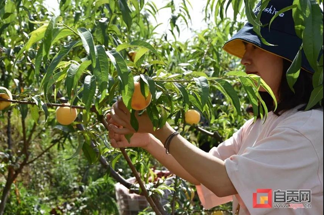 热闹!这两个月自贡周周有活动,总有一款适合你……(图3) 热闹!这两个月自贡周周有活动,总有一款适合你……(图3)