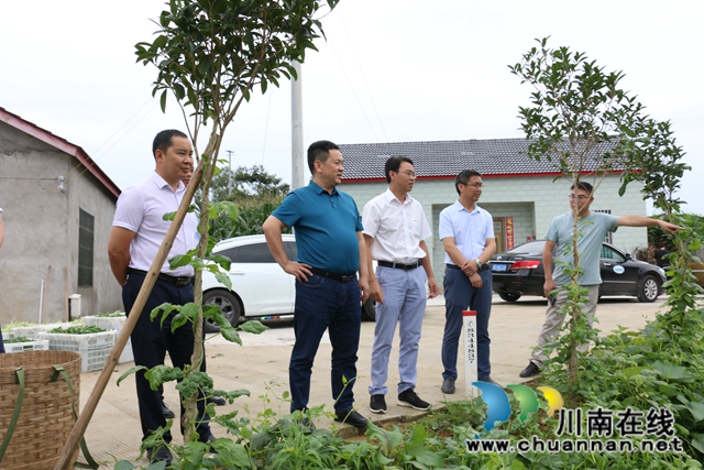 先泽平到泸县潮河镇督导脱贫攻坚问题整改清零行动和挂牌督战工作(图1)