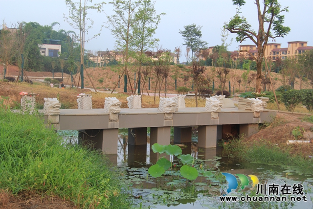 翘首期盼，泸县云龙健康公园建设进入倒计时(图2)