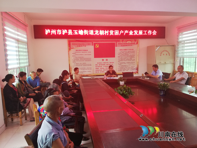 泸县玉蟾街道龙朝村开展贫困户产业发展工作会(图1)