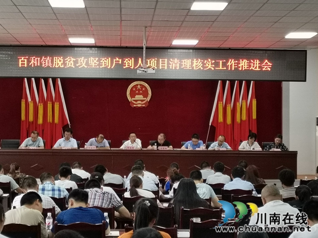 泸县百和镇召开到户到人项目清理核实工作推进会(图1)