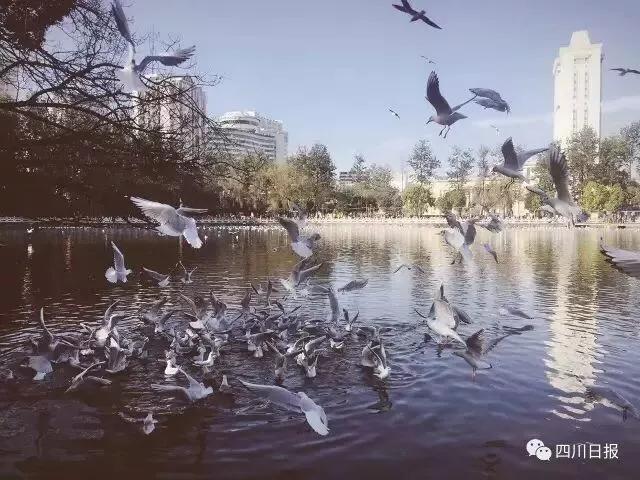 预计2023年底通车！成自宜高铁加快推进，来看看成自宜高铁如何通江达海(图8)