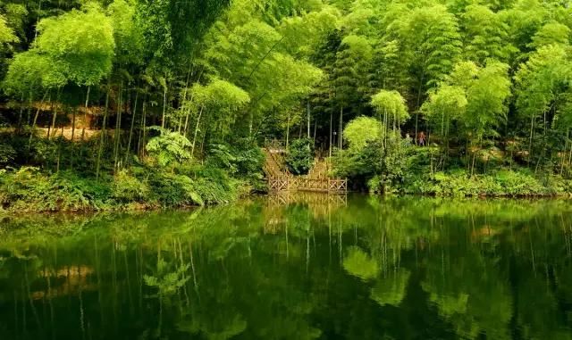 预计2023年底通车！成自宜高铁加快推进，来看看成自宜高铁如何通江达海(图16)