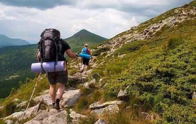 清晨6点，泸州男孩在睡梦中被毒蛇咬伤入院！(图4)