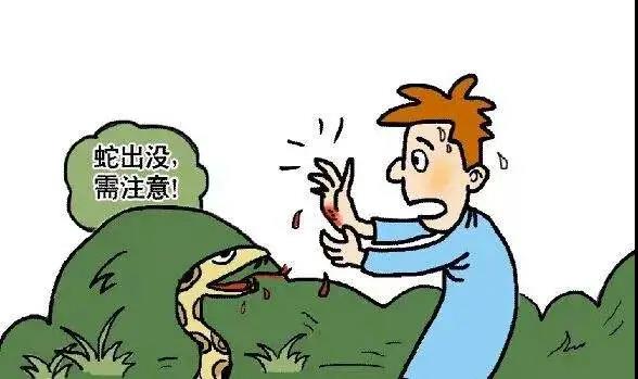 清晨6点，泸州男孩在睡梦中被毒蛇咬伤入院！(图3)