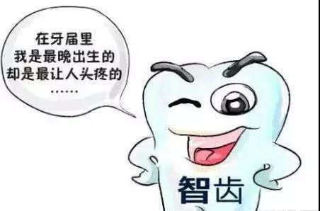 【扩散】智齿，到底该不该拔？(图2)