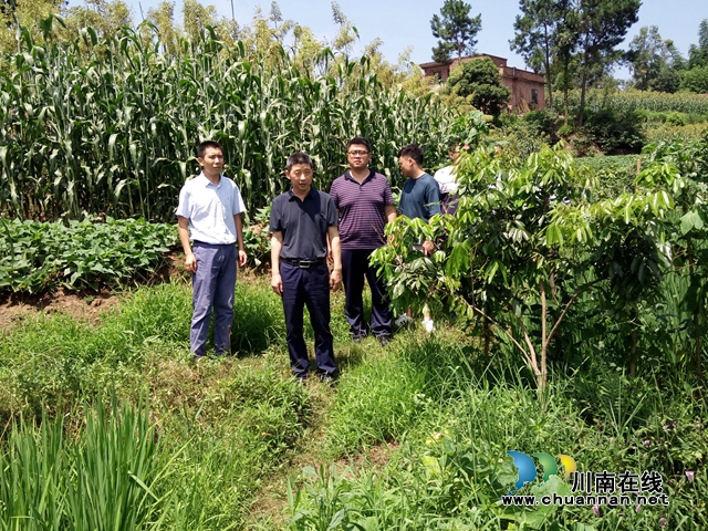 泸县目督办到潮河镇开展水产养殖环保检查(图1)