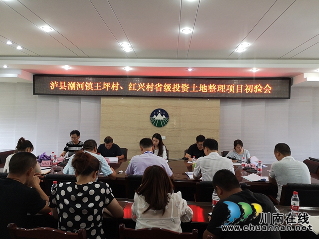 泸县潮河镇王坪村、红兴村省级投资土地整理项目顺利通过县级初验(图2)