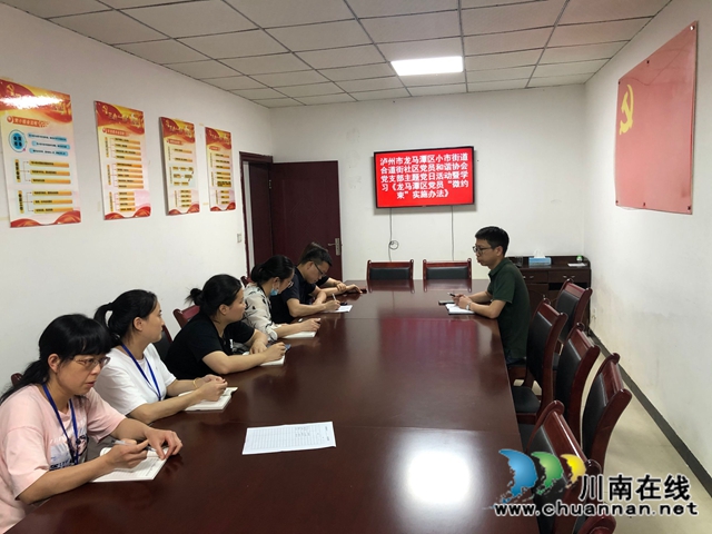 龙马潭区小市街道合道街社区两新党支部举办庆祝建党99周年活动(图1)