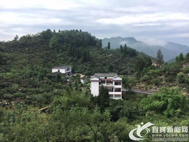 快看!百万网络大V打卡宜宾美好乡村生活(图6) 快看!百万网络大V打卡宜宾美好乡村生活(图6)