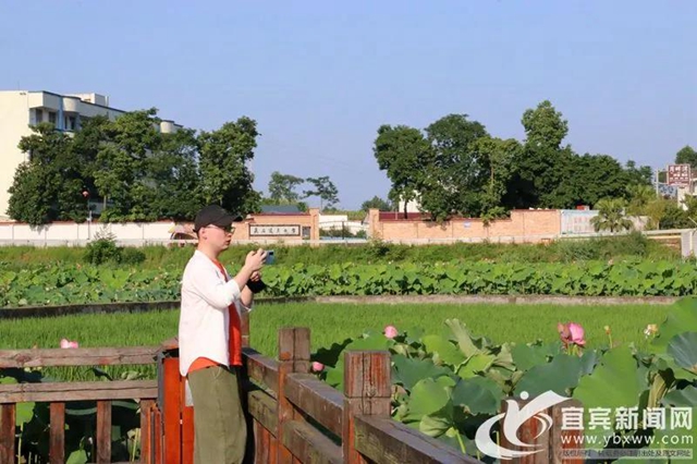 快看!百万网络大V打卡宜宾美好乡村生活(图11) 快看!百万网络大V打卡宜宾美好乡村生活(图11)