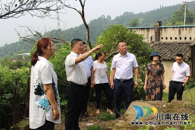 杨双全到泸县玉蟾街道督导脱贫攻坚工作(图1)