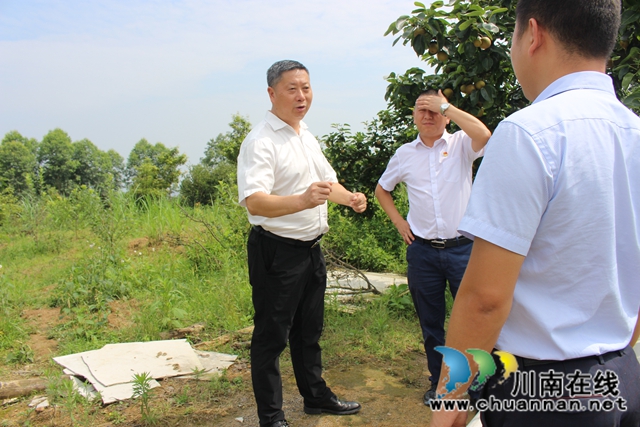 杨双全到泸县玉蟾街道督导脱贫攻坚工作(图2)