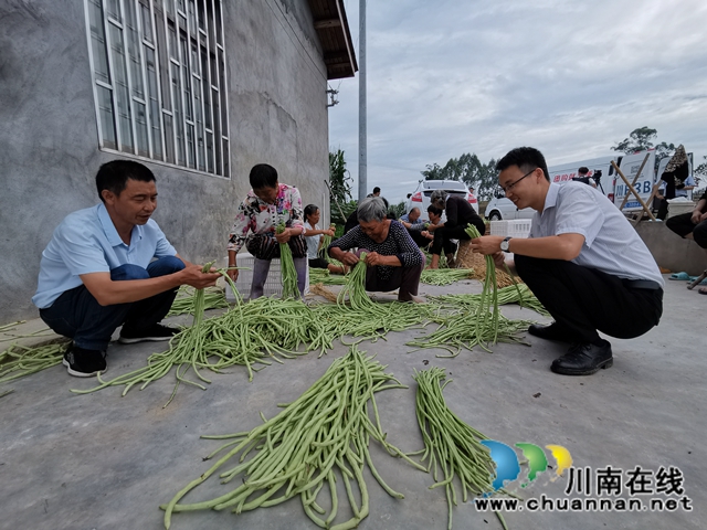 泸县潮河镇：驻村工作队牵线，农超对接脱贫产业有销路(图2)