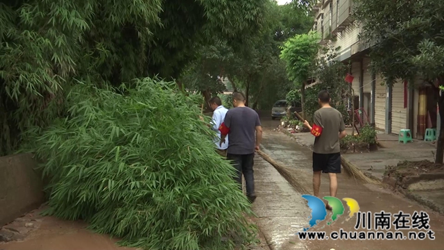 合江县石龙镇：防疫消杀齐上阵，固定党日在一线(图1)