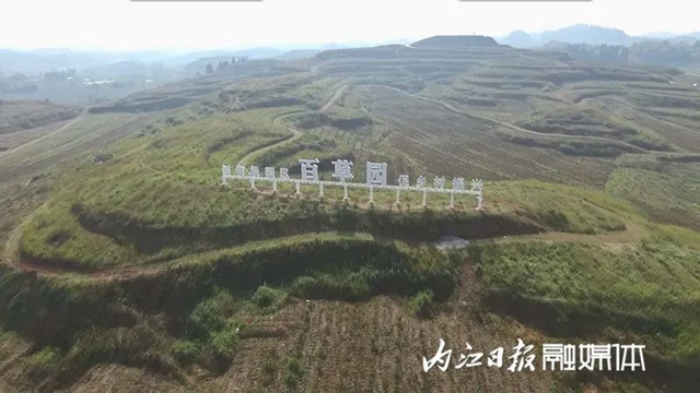 签约成功！总投资41亿 ！内江在成都又拿下这些大项目(图9)