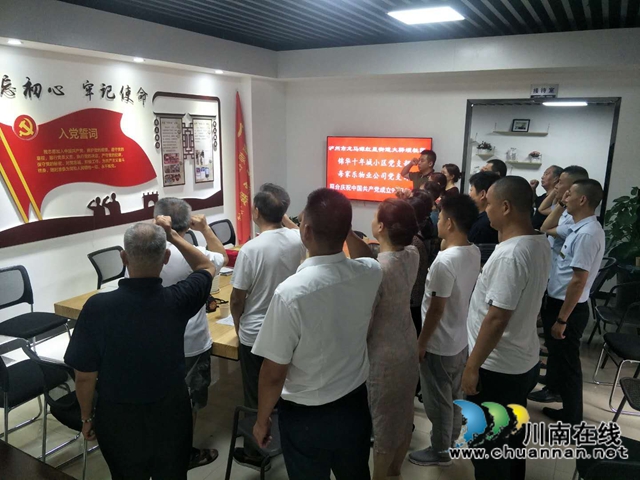 龙马潭区红星街道：“量体裁衣”治理小区(图3)