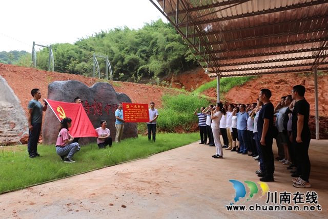 龙马潭区综合行政执法局：精心开展“庆七一，永远跟党走”主题党员日活动(图1)