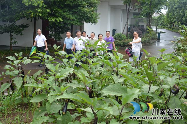 泸州市科协副主席张连俊带队调研龙马潭区玉带河学校科技教育工作(图5)