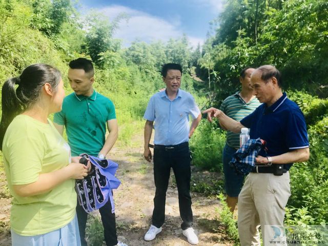 叙永县解决群众用水、调研人蓄饮水项目(图2)