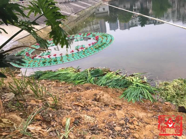 隆昌：昔日水库“变”公园！你还认识它吗？(图6)