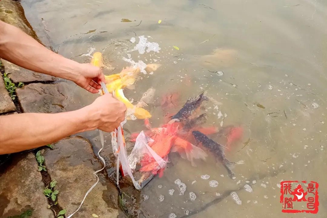 隆昌：昔日水库“变”公园！你还认识它吗？(图7)