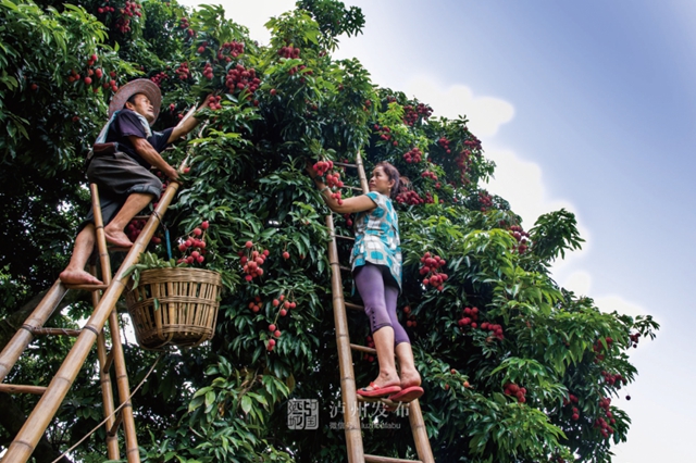合江、隆昌、翠屏区入选成渝地区双城经济圈建设县域集成改革首批试点名单(图3)