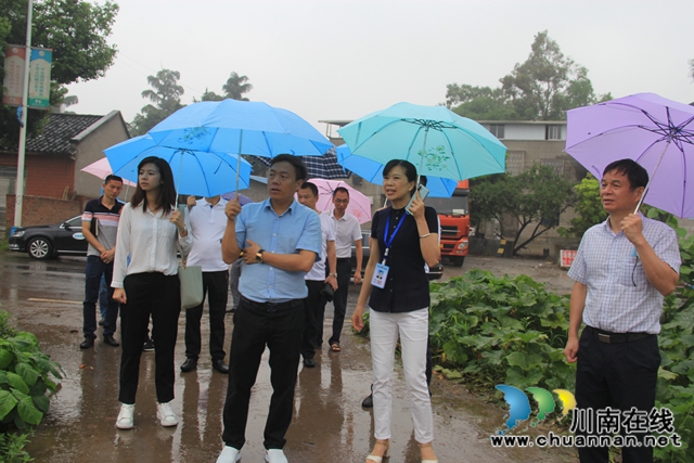 泸县云龙镇：招商引资不停步(图2)