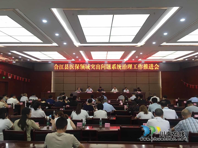 合江县召开医保领域突出问题系统治理工作推进会(图1)
