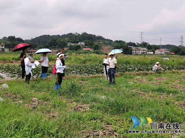 宜宾正信公证处：现场留痕做保全，公证助力谋发展(图1)
