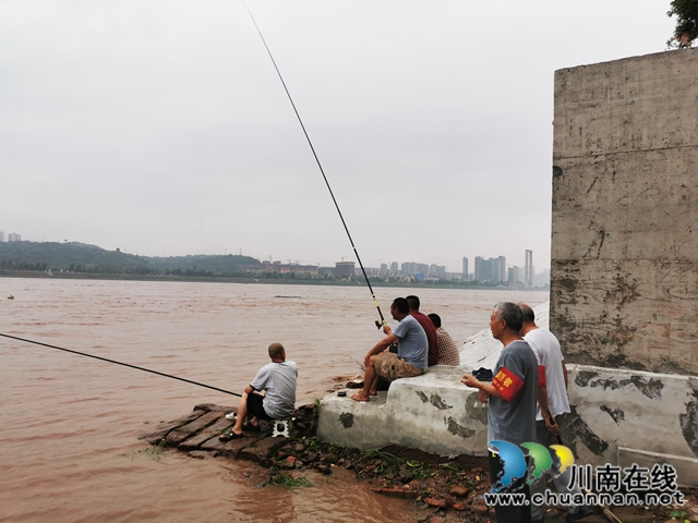 龙马潭区罗汉街道：加强巡河，守护安全(图2)