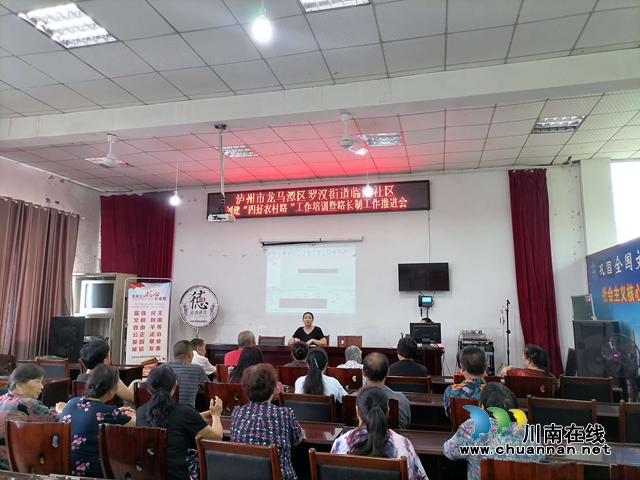 龙马潭区罗汉街道召开创建“四好农村路”工作培训暨路长制工作推进会(图1)