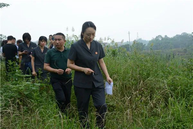 江阳法院巡回审判：林地里走来“亲切法官”！(图4)