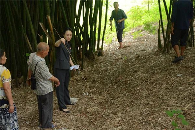 江阳法院巡回审判：林地里走来“亲切法官”！(图6)
