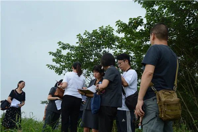 江阳法院巡回审判：林地里走来“亲切法官”！(图7)