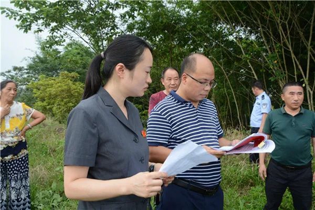 江阳法院巡回审判：林地里走来“亲切法官”！(图8)
