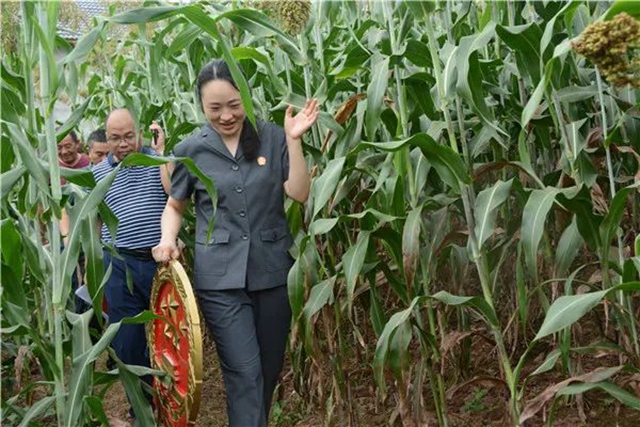 江阳法院巡回审判：林地里走来“亲切法官”！(图14)