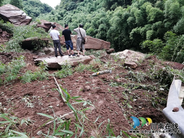 合江县先滩镇人大代表助力防汛防洪(图3)