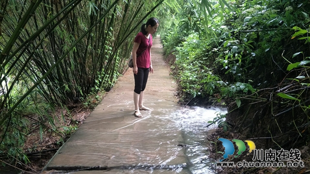 泸县玉蟾街道：“红色马甲”排隐患，安全度汛暖人心(图4)