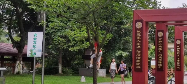 事关所有宜宾人!全城征集这些照片和视频,还有钱……(图13) 事关所有宜宾人!全城征集这些照片和视频,还有钱……(图13)