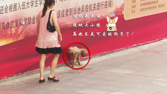 事关所有宜宾人!全城征集这些照片和视频,还有钱……(图16) 事关所有宜宾人!全城征集这些照片和视频,还有钱……(图16)