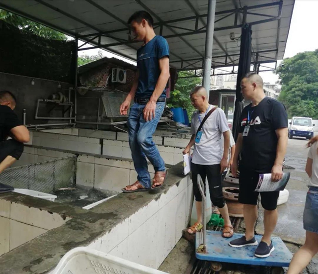 “十年禁渔”！泸州市场监管掷地有声(图8)