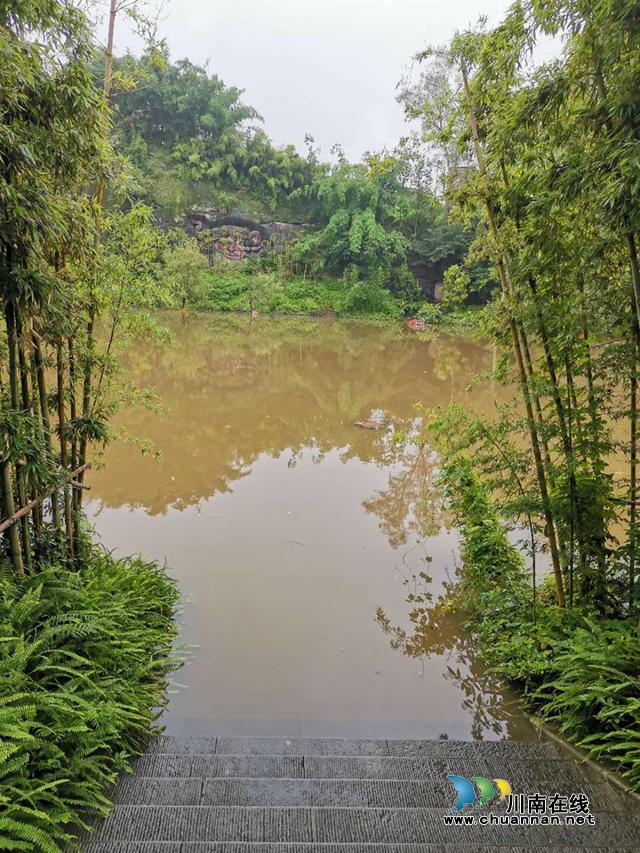 龙脑桥遭遇洪水“没顶”！泸县水利工程全力筑牢防洪减灾安全堤(图1)