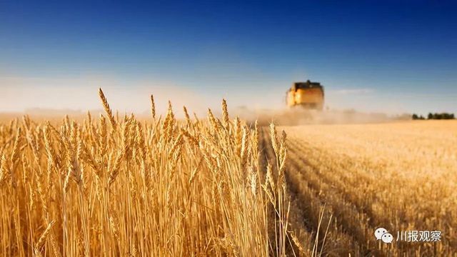 上半年四川GDP增长0.6%！(图2)