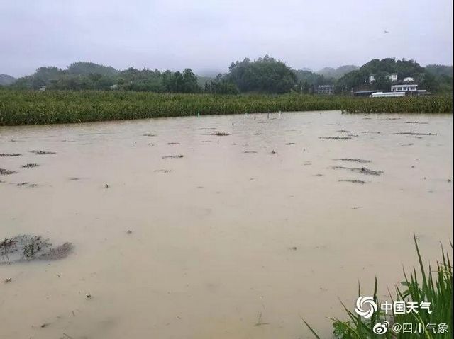 启动24小时应急状态！宜宾多地出现山体滑坡、道路垮塌、农田被淹！(图7)