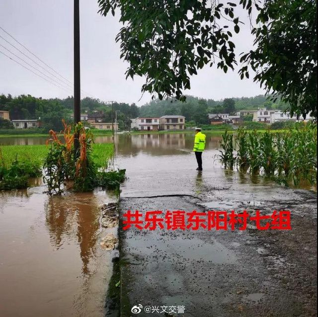 启动24小时应急状态！宜宾多地出现山体滑坡、道路垮塌、农田被淹！(图12)