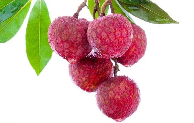 【分享】荔枝吃到饱，结果……(图1)