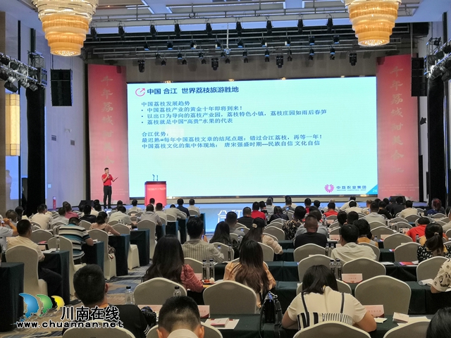 【荔枝红了】官宣!合江荔枝正式上市(图4) 荔枝红了|官宣!合江荔枝正式上市(图4)