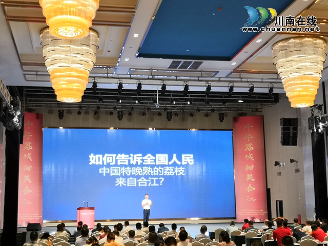 荔枝红了|官宣!合江荔枝正式上市(图5) 荔枝红了|官宣!合江荔枝正式上市(图5)